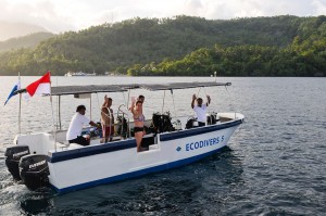 Eco-Divers-Resort-Lembeh-Speedboat
