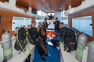 Diving-06