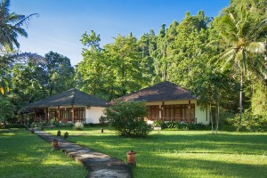 Garden-View-1